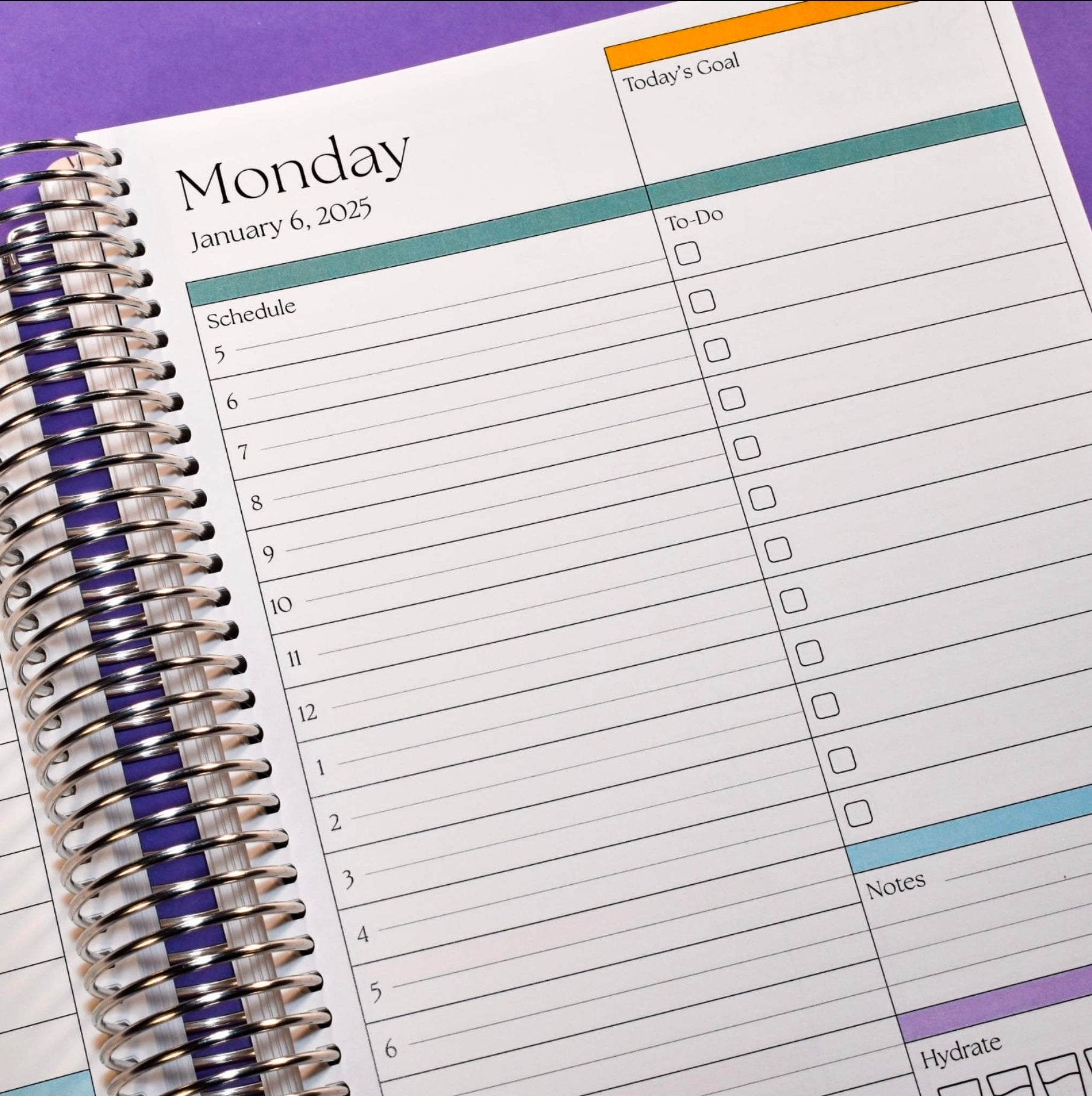 Plan Everything 365 Planners