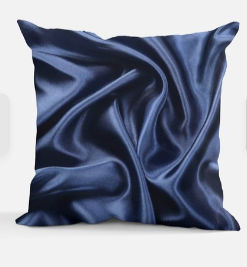 Midnight Momentum Plan & Rest Office Pillow